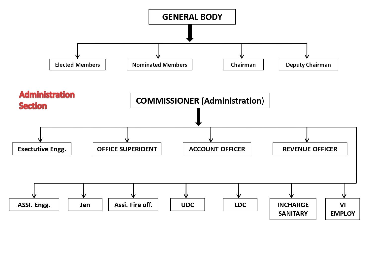 Organizational Chart